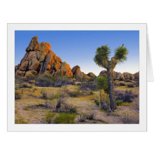 " Slumbering Man Rock Formation " Cards
