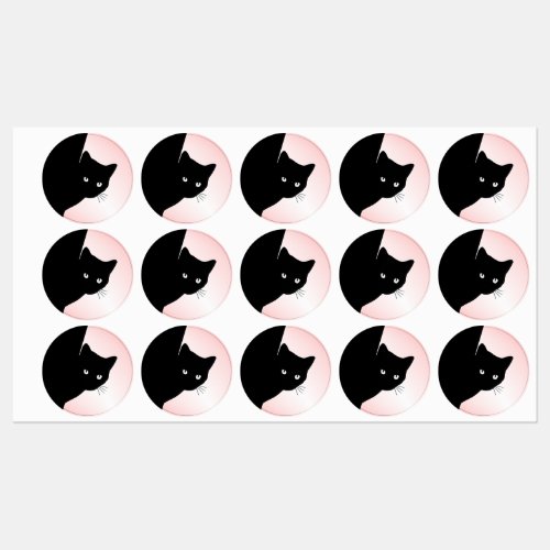 Sly Black Cat Pink Labels
