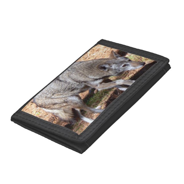 Sly Red Timber Wolf Tri-fold Wallet (Bottom)