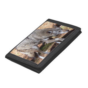 Sly Red Timber Wolf Trifold Wallet