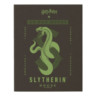 SLYTHERIN™ House By Any Means Faux Canvas Print