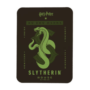 SLYTHERIN™ House By Any Means Magnet
