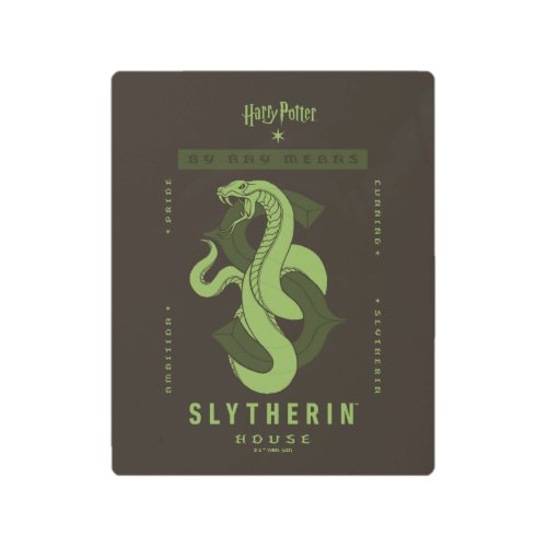SLYTHERINâ House By Any Means Metal Print