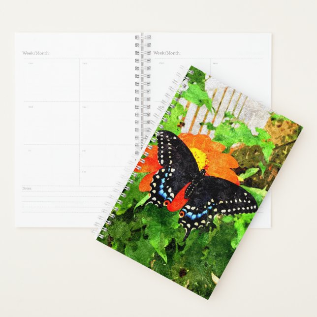 Sm Planner Black Swallowtail Graphic (Display)