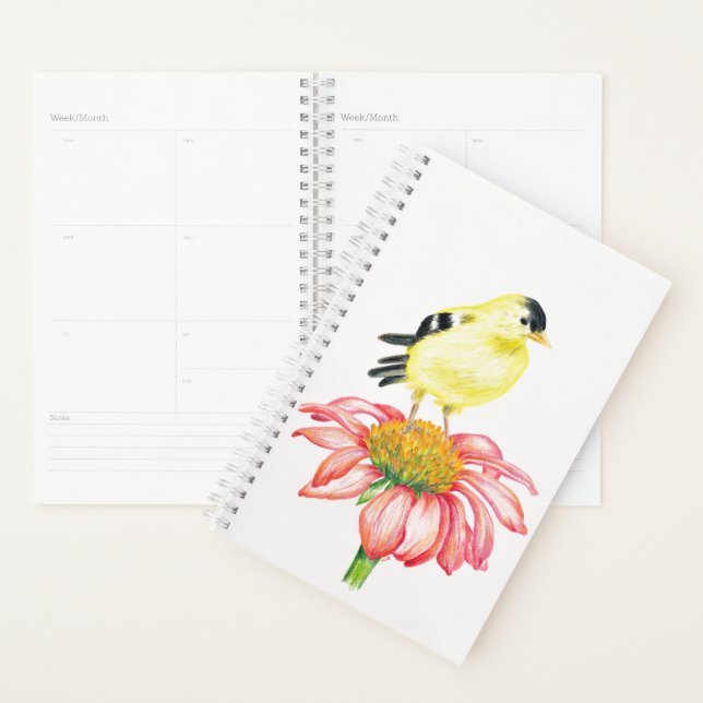 Sm Planner Goldfinch on Coneflower (Display)