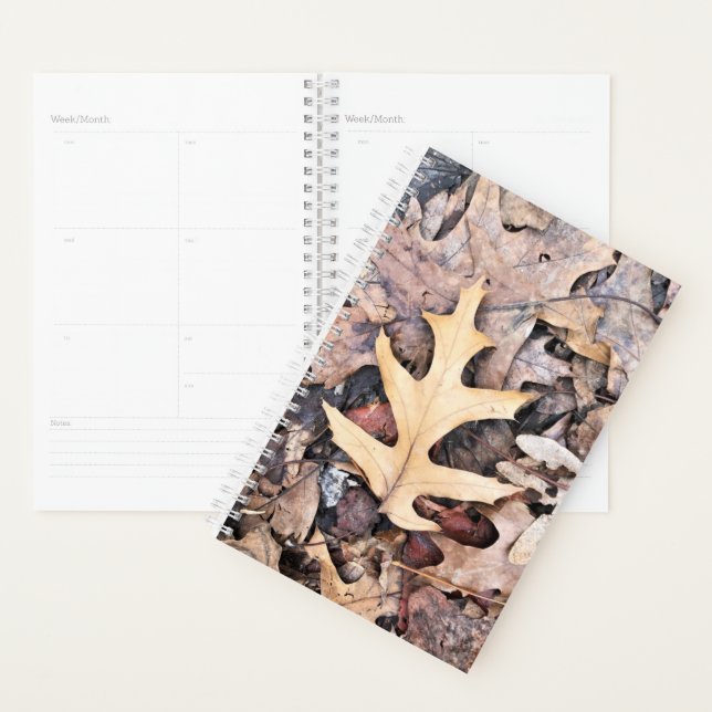 Sm Planner Oak Leaf (Display)