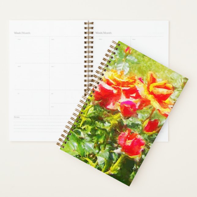 Sm Planner Orange Roses (Display)