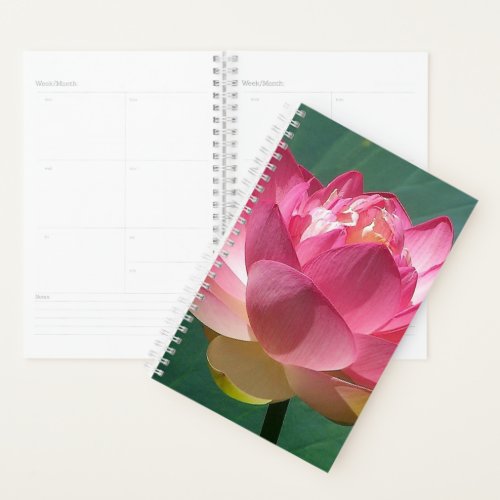 Sm Planner Pink Lotus