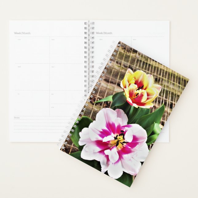 Sm Planner Pink/Yellow Tulips (Display)