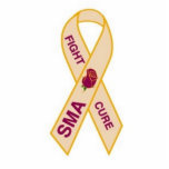 sma ornament<br><div class="desc">sma awareness ribbon hanging ornament</div>
