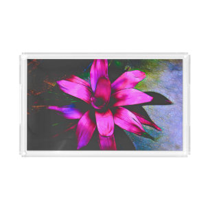Small Acrylic Tray with Hot Pink Bromeliad