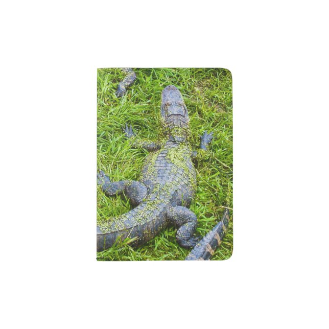Small Alligators Basking Passport Holder (Front)