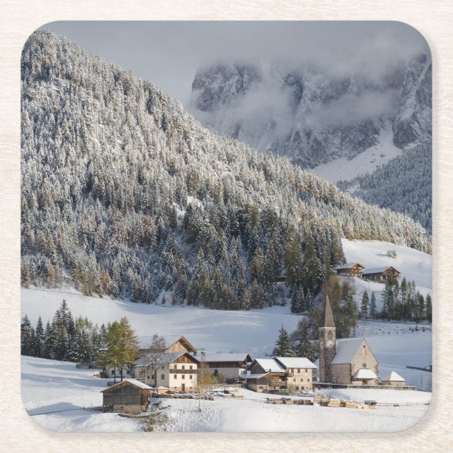 Small alpine village in the snow coaster (Front)