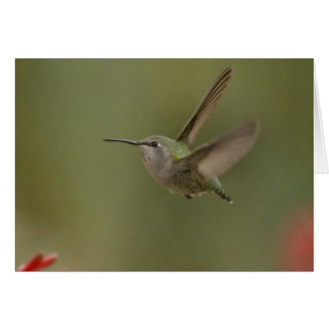 Small and mighty hummingbird cards (Front Horizontal)