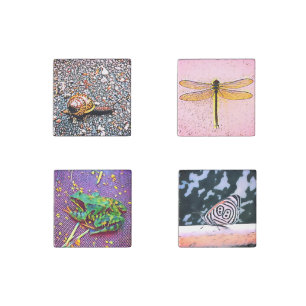 Small animals, dragonfly and a butterfly stone magnet