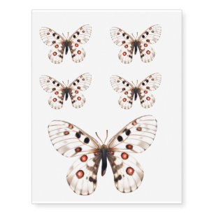 Small Apollo Butterfly Temporary Tattoos