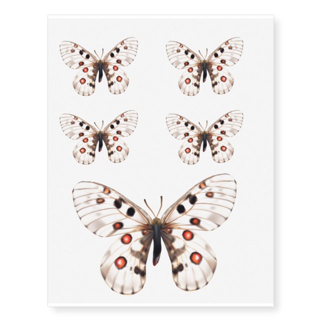 Small Apollo Butterfly Temporary Tattoos (Front)