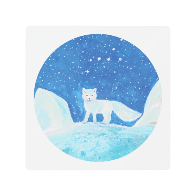 Small Arctic Fox (Vulpes lagopus) Illustration   Metal Print (Front)
