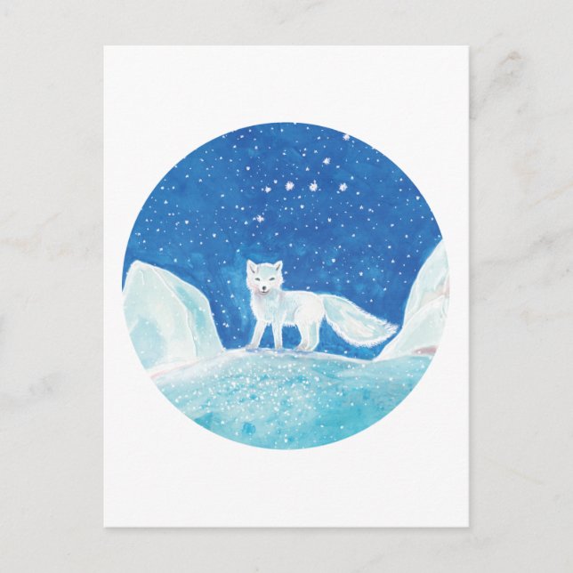Small Arctic Fox (Vulpes lagopus) Illustration   Postcard (Front)