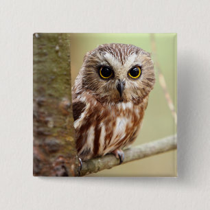 Small Baby Owl   Ontarios Pinback Button