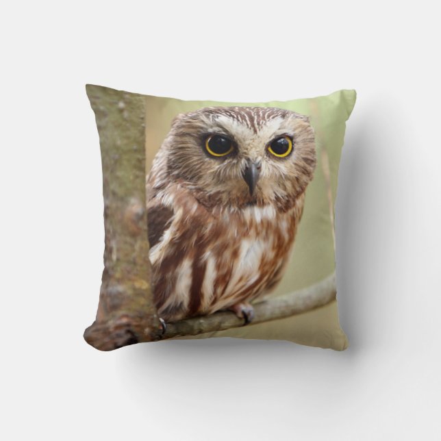Small Baby Owl | Ontarios Throw Pillow (Front)