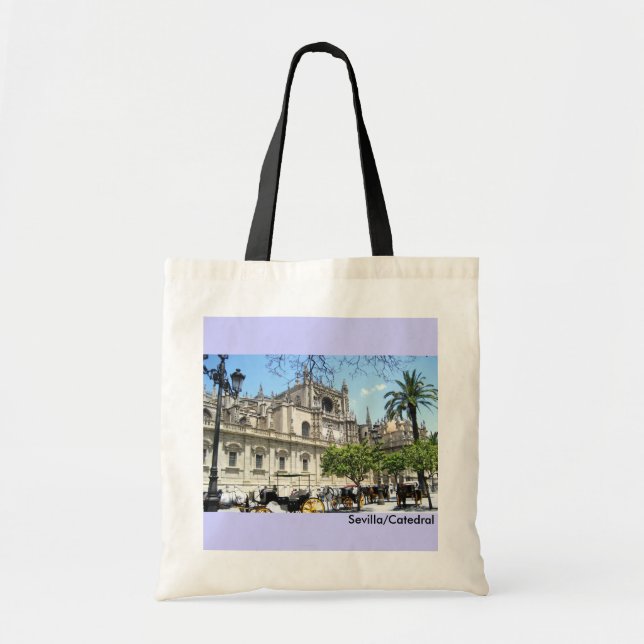 Small Bag/Sevilla Tote Bag (Front)