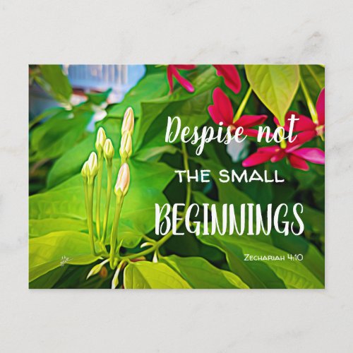 Small Beginnings Scripture Quote Inspirational Postcard