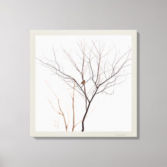 Small Bird in Tree Branches Minimalist Nature Canvas Print (Front)