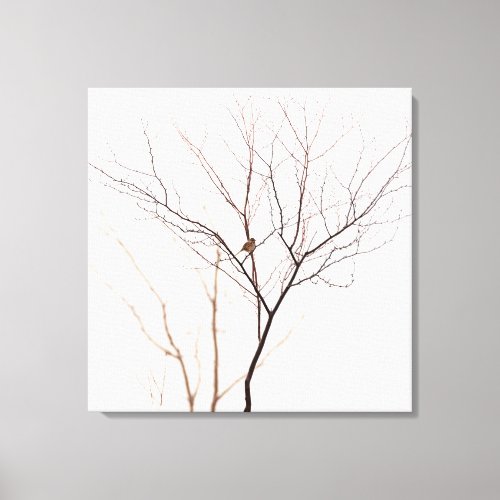 Small Bird in Tree Branches Minimalist Nature Canvas Print