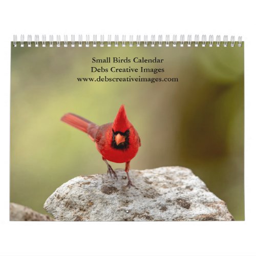 Small Birds 2024 Calendar