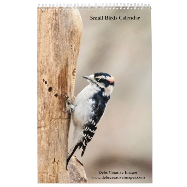 Small Birds 2026 Calendar (Cover)