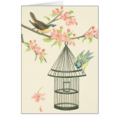 Small Birds Perched on a Branch and on a Birdcage (Front)