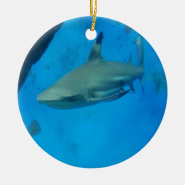 Small Black Tipped Shark Ceramic Ornament (Front)
