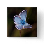 Small Blue Butterfly Square Pin