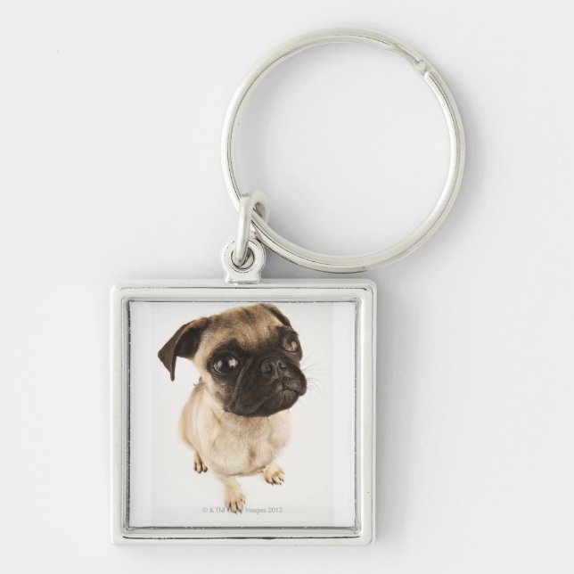 Small breed of dog with short muzzled face. keychain (Front)
