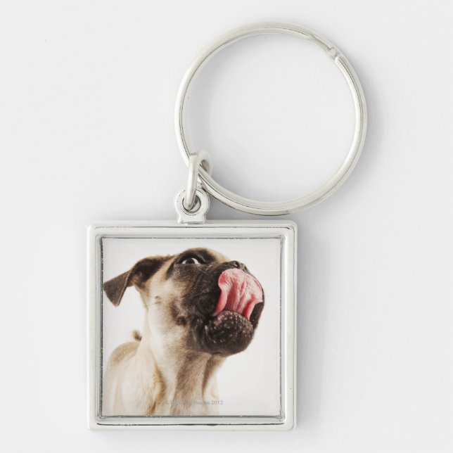 Small Breed of Dog with Short Muzzled Face Keychain (Front)