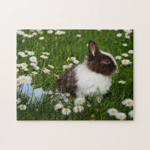 Small Brown and White Bunny in Flowers Jigsaw Puzzle