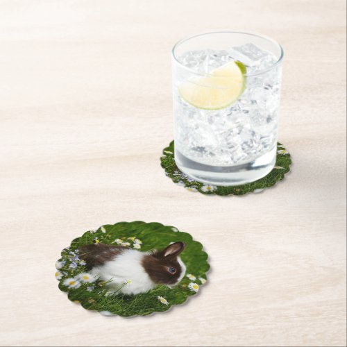 Small Brown and White Bunny in Flowers Paper Coaster