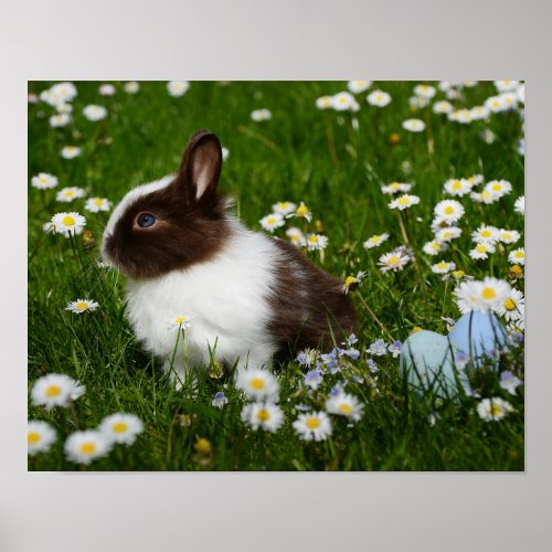 Small Brown and White Bunny in Flowers Poster