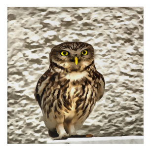 Small Brown Barn Owl Artistic Portrait Acrylic Print