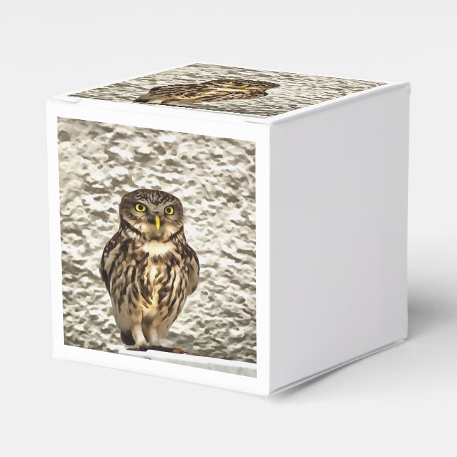 Small Brown Barn Owl Artistic Portrait Favor Boxes (Front Side)