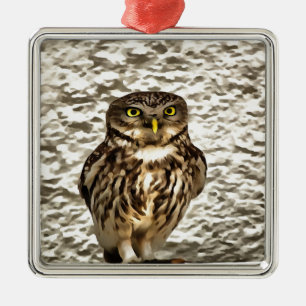 Small Brown Barn Owl Artistic Portrait Metal Ornament