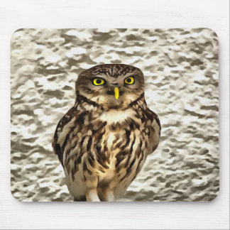 Small Brown Barn Owl Artistic Portrait Mouse Pad