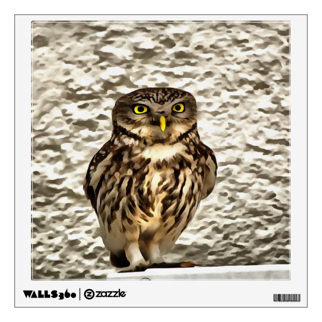 Small Brown Barn Owl Artistic Portrait Wall Decal (Front)