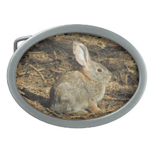 Small Brown Desert Bunny in Sun Photograph Belt Buckle