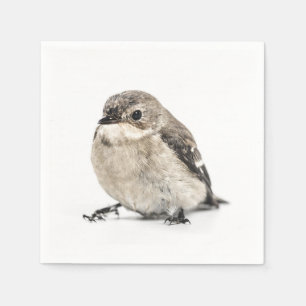 Small Brown Garden Bird Photo Napkins