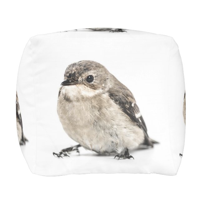 Small Brown Garden Bird Photo Pouf (Front)