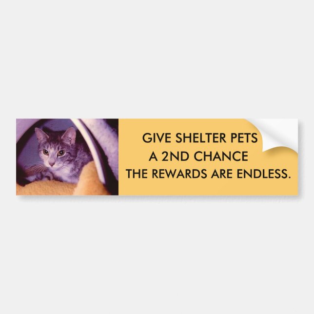 SMALL BUMPER STICKER (Front)