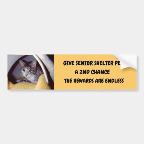 SMALL BUMPER STICKER