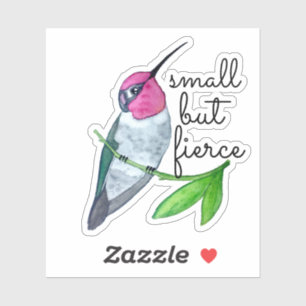 Small but fierce Anna's Hummingbird Sticker